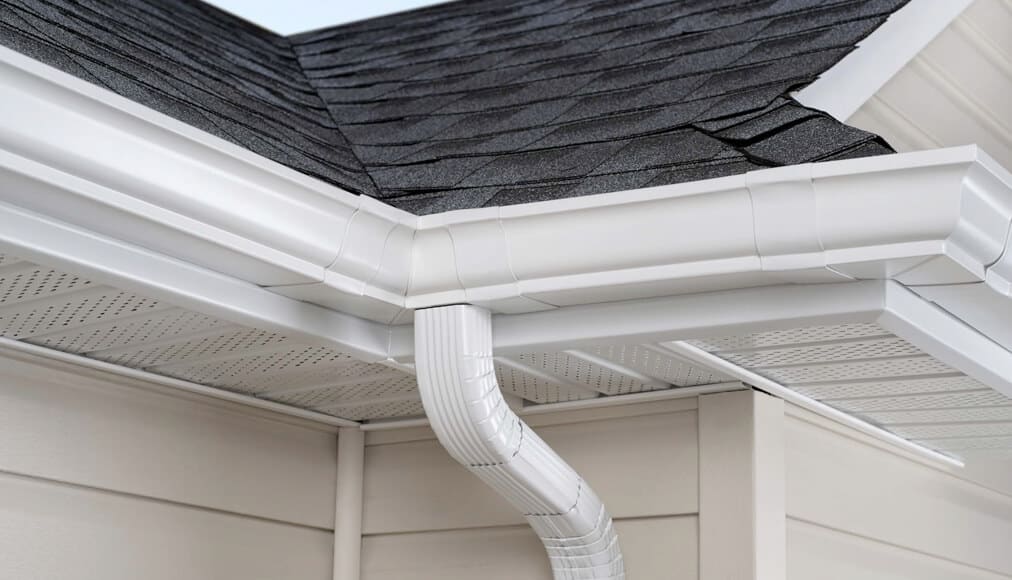 gutter cleaning Windsor Ontario