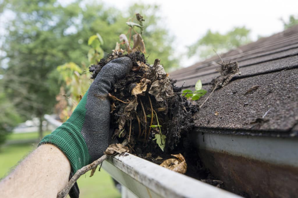 gutter cleaning Windsor, Ontario