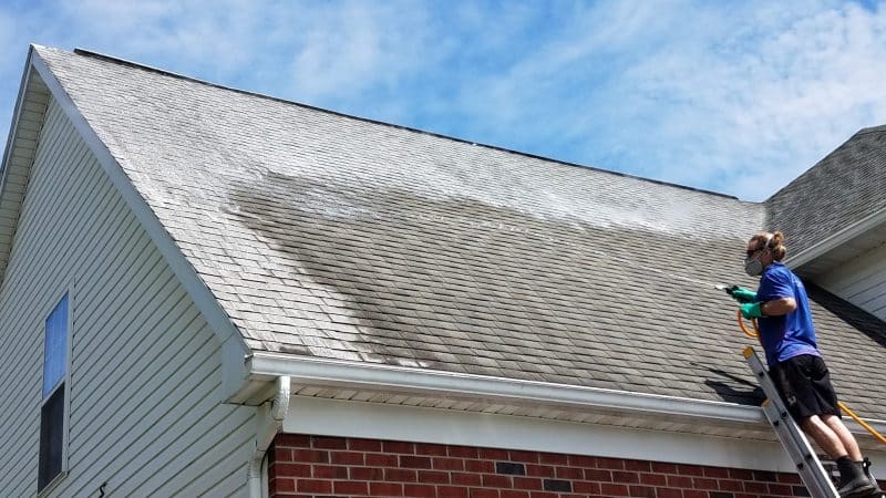 roof cleaning company in windsor ontario